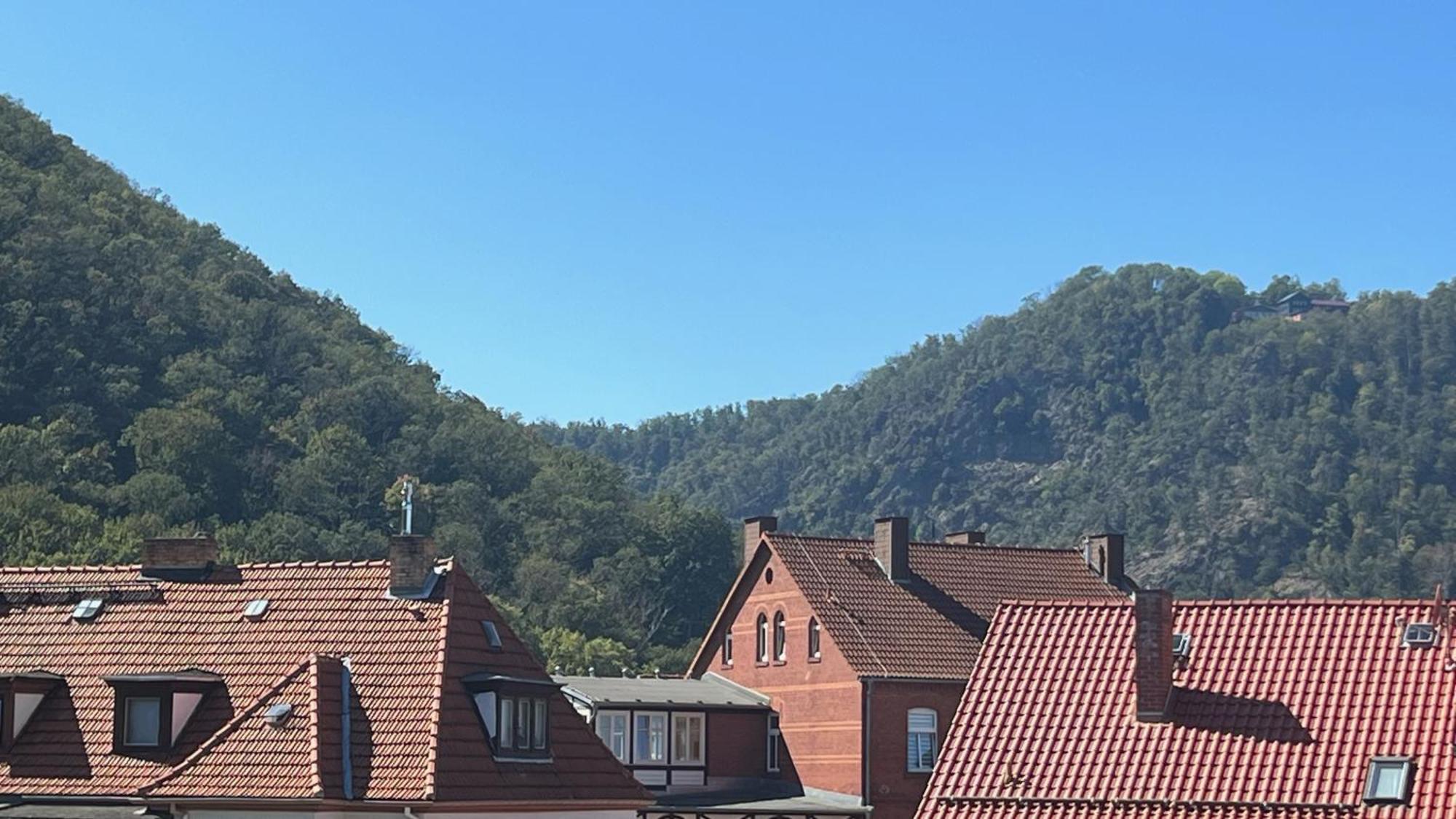 Rosstrappenblick Διαμέρισμα Thale Εξωτερικό φωτογραφία